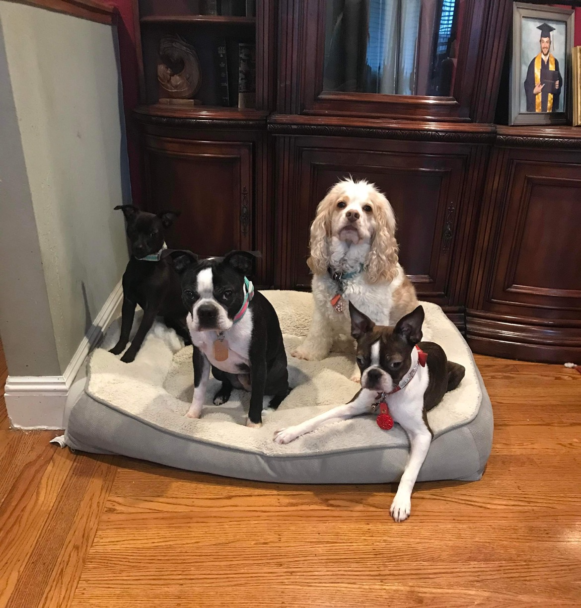 Mi Casa Blank Meme Template