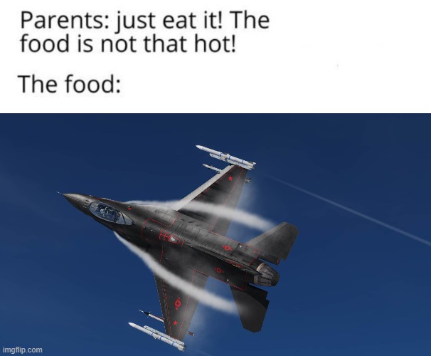 Hot F-16 | image tagged in the food is not that hot | made w/ Imgflip meme maker