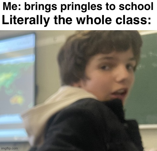 Surprised | Me: brings pringles to school; Literally the whole class: | image tagged in surprised | made w/ Imgflip meme maker