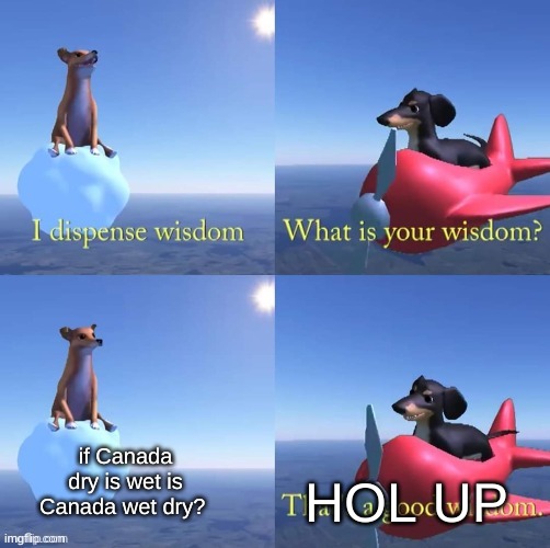 hol up | HOL UP; if Canada dry is wet is Canada wet dry? | image tagged in wisdom dog | made w/ Imgflip meme maker
