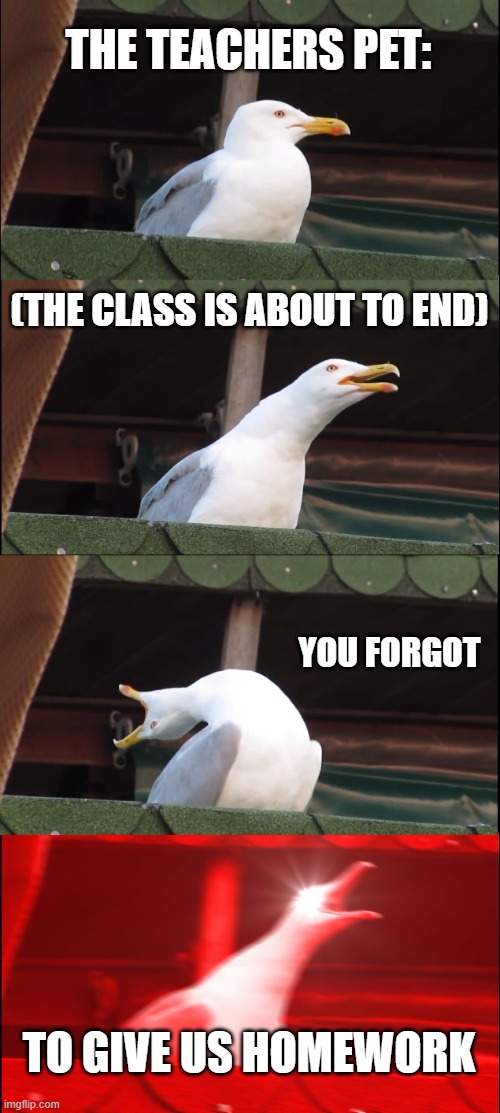 Inhaling Seagull |  THE TEACHERS PET:; (THE CLASS IS ABOUT TO END); YOU FORGOT; TO GIVE US HOMEWORK | image tagged in memes,inhaling seagull | made w/ Imgflip meme maker