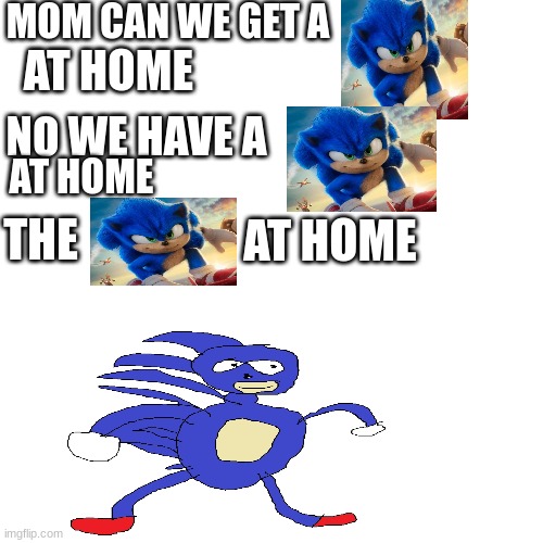 sonic and Sanic | MOM CAN WE GET A; AT HOME; NO WE HAVE A; AT HOME; THE; AT HOME | image tagged in sonic the hedgehog | made w/ Imgflip meme maker