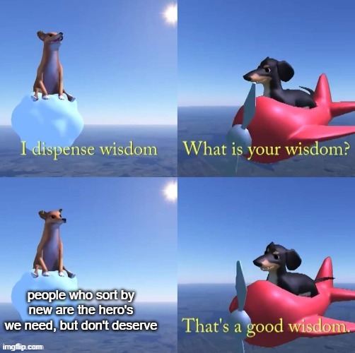 Wisdom dog | people who sort by new are the hero's we need, but don't deserve | image tagged in wisdom dog | made w/ Imgflip meme maker