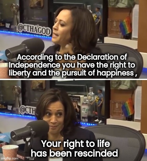 The Master's Plans for you | According to the Declaration of 
Independence you have the right to 
liberty and the pursuit of happiness , Your right to life has been rescinded | image tagged in kamala harris,politicians suck,collateral damage,i too like to live dangerously,see nobody cares,liberal logic | made w/ Imgflip meme maker