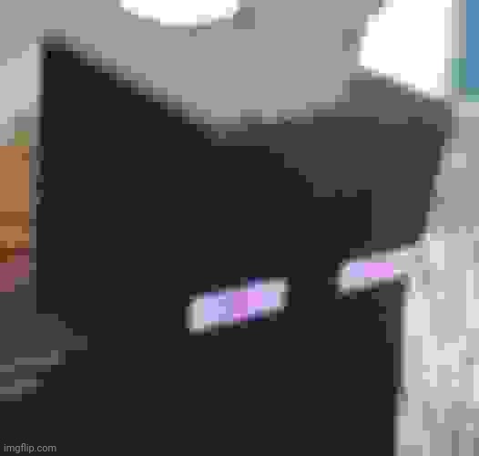 Enderman stare | image tagged in enderman stare | made w/ Imgflip meme maker