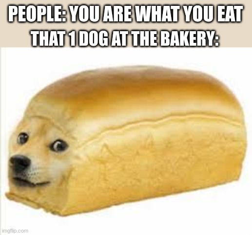 bread dogo | PEOPLE: YOU ARE WHAT YOU EAT; THAT 1 DOG AT THE BAKERY: | image tagged in doge bread | made w/ Imgflip meme maker