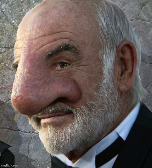 Connery big nose | image tagged in connery big nose | made w/ Imgflip meme maker