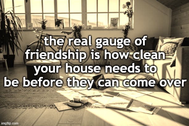 friends don't mind | the real gauge of friendship is how clean your house needs to be before they can come over | image tagged in friendship,messy house | made w/ Imgflip meme maker