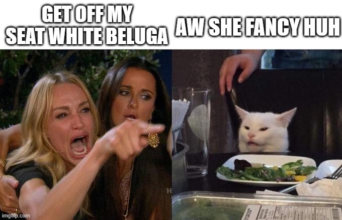 lady yells at cat | AW SHE FANCY HUH; GET OFF MY SEAT WHITE BELUGA | image tagged in cat,my chair,lady,no | made w/ Imgflip meme maker