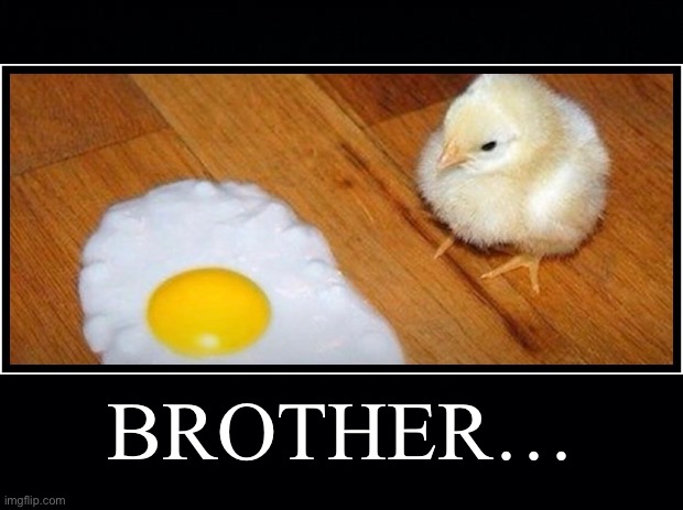 Family Antics |  BROTHER… | image tagged in funny,memes,chicken,eggs,hold up | made w/ Imgflip meme maker