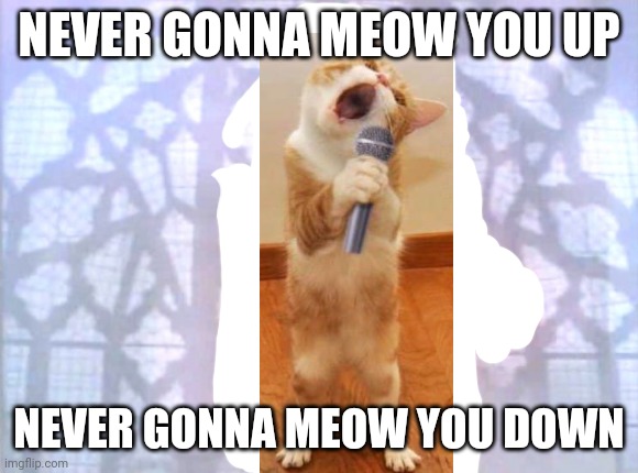Rick Catley | NEVER GONNA MEOW YOU UP; NEVER GONNA MEOW YOU DOWN | image tagged in rickroll | made w/ Imgflip meme maker