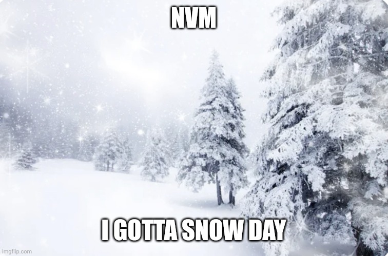 Snowy forest | NVM; I GOTTA SNOW DAY | image tagged in snowy forest | made w/ Imgflip meme maker