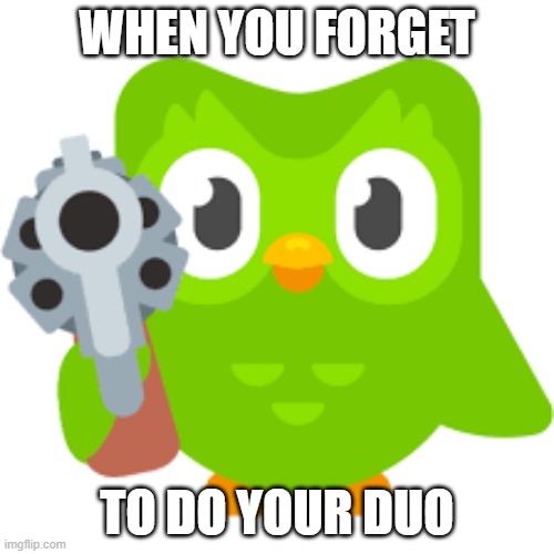 When you forget to do your duolingo | WHEN YOU FORGET; TO DO YOUR DUO | image tagged in fun,duolingo,duolingo gun,duolingo bird | made w/ Imgflip meme maker