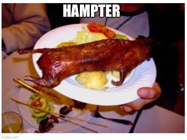 Hampter | HAMPTER | image tagged in hampter | made w/ Imgflip meme maker