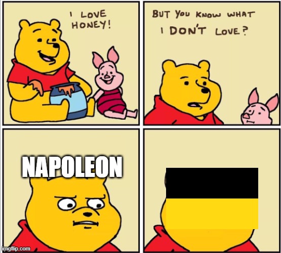 serious winnie the pooh | NAPOLEON | image tagged in serious winnie the pooh | made w/ Imgflip meme maker
