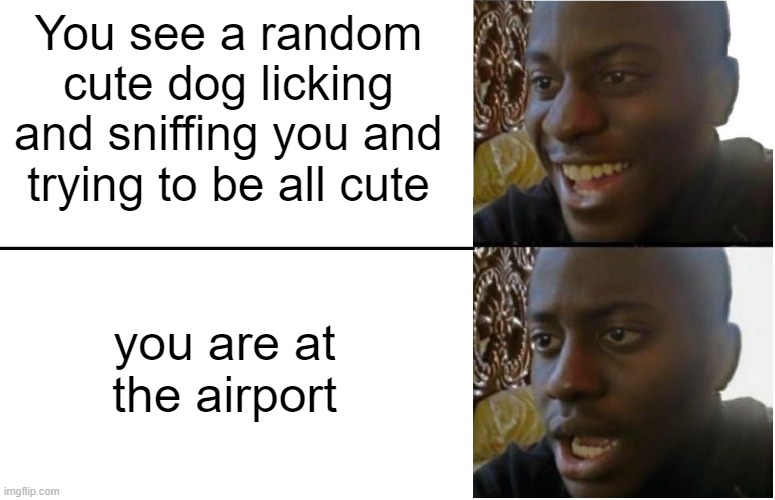accused for good meme | You see a random cute dog licking and sniffing you and trying to be all cute; you are at the airport | image tagged in disappointed black guy,memes,funny memes,demotivationals,airplane | made w/ Imgflip meme maker