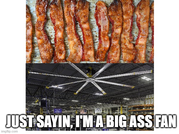 Bacon | JUST SAYIN, I'M A BIG ASS FAN | image tagged in memes,bacon,fan | made w/ Imgflip meme maker