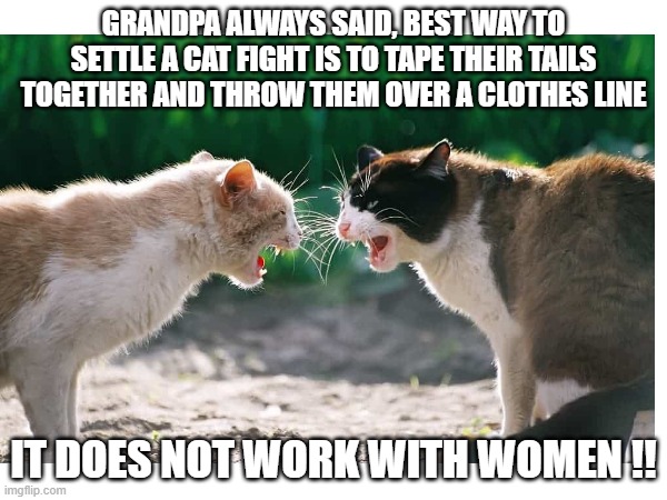 Grandpa always said | GRANDPA ALWAYS SAID, BEST WAY TO SETTLE A CAT FIGHT IS TO TAPE THEIR TAILS TOGETHER AND THROW THEM OVER A CLOTHES LINE; IT DOES NOT WORK WITH WOMEN !! | image tagged in memes,dark,cat fight | made w/ Imgflip meme maker