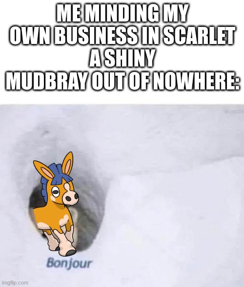 that was a good day :) | ME MINDING MY OWN BUSINESS IN SCARLET
A SHINY MUDBRAY OUT OF NOWHERE: | image tagged in bonjour | made w/ Imgflip meme maker