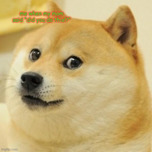 Doge | me when my mom said "did you do this!?" | image tagged in memes,doge | made w/ Imgflip meme maker