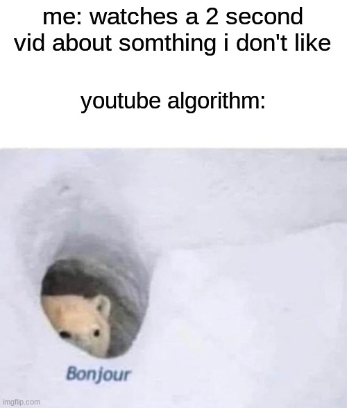 Bonjour | me: watches a 2 second vid about somthing i don't like youtube algorithm: | image tagged in bonjour | made w/ Imgflip meme maker