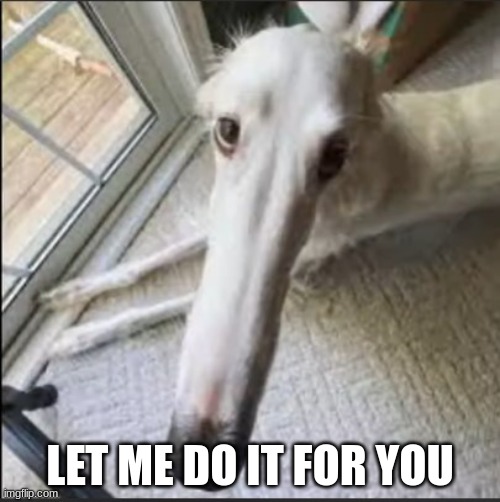 didn't i do it for you | LET ME DO IT FOR YOU | image tagged in borzoi | made w/ Imgflip meme maker