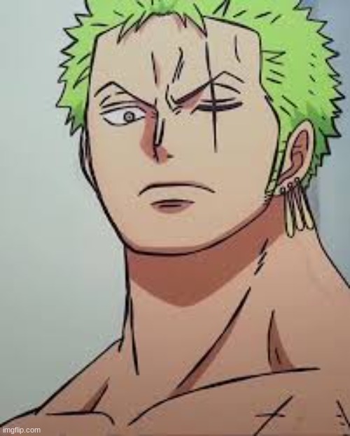 Smash or Pass? | image tagged in zoro,one piece,daddy,hot | made w/ Imgflip meme maker