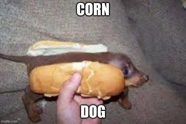 CORN; DOG | image tagged in corn dogs | made w/ Imgflip meme maker