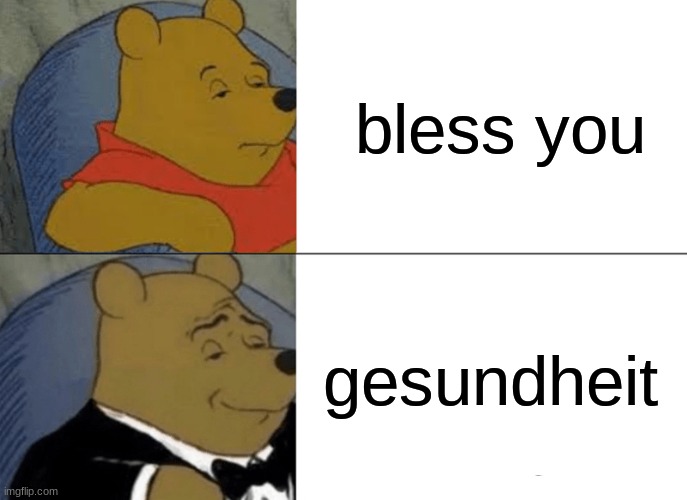 Tuxedo Winnie The Pooh | bless you; gesundheit | image tagged in memes,tuxedo winnie the pooh | made w/ Imgflip meme maker