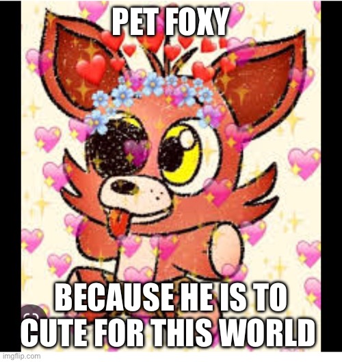 Cute foxy | PET FOXY; BECAUSE HE IS TO CUTE FOR THIS WORLD | image tagged in cute foxy | made w/ Imgflip meme maker