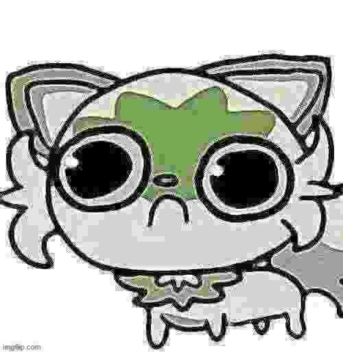 weed cat | image tagged in weed cat | made w/ Imgflip meme maker