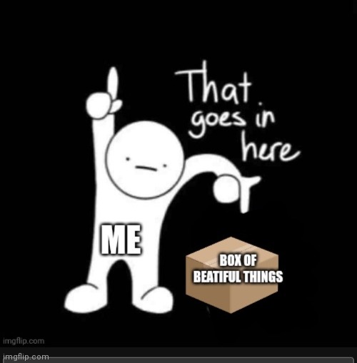 beatiful | image tagged in box of beatiful things | made w/ Imgflip meme maker