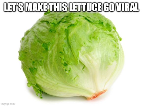 Lettuce | LET’S MAKE THIS LETTUCE GO VIRAL | image tagged in lettuce | made w/ Imgflip meme maker