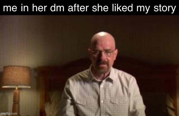me in her dm after she liked my story | image tagged in bruh,lol,why are you reading this | made w/ Imgflip meme maker