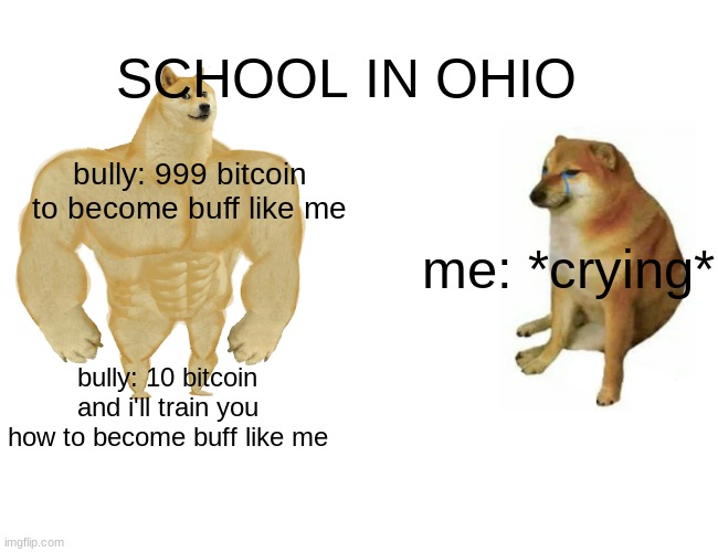 SCHOOL IN OHIO | SCHOOL IN OHIO; bully: 999 bitcoin to become buff like me; me: *crying*; bully: 10 bitcoin and i'll train you how to become buff like me | image tagged in memes,buff doge vs cheems | made w/ Imgflip meme maker
