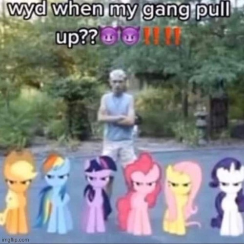 bro got a squad | image tagged in bruh,lol,why are you reading this | made w/ Imgflip meme maker
