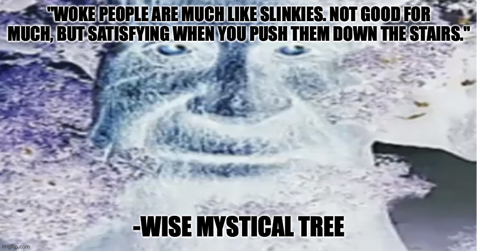 Wise mystical tree | "WOKE PEOPLE ARE MUCH LIKE SLINKIES. NOT GOOD FOR MUCH, BUT SATISFYING WHEN YOU PUSH THEM DOWN THE STAIRS."; -WISE MYSTICAL TREE | image tagged in wise mystical tree | made w/ Imgflip meme maker