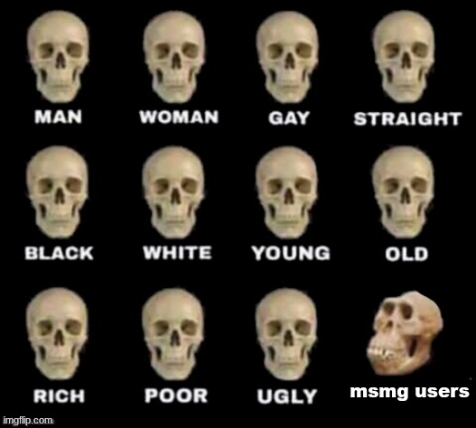 idiot skull | msmg users | image tagged in idiot skull | made w/ Imgflip meme maker