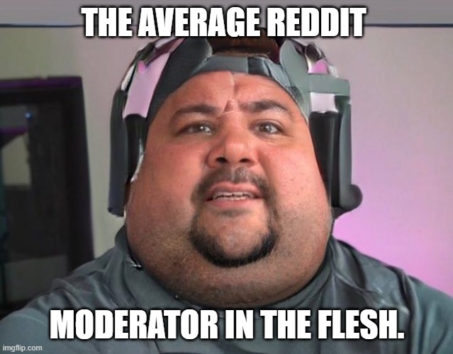 Fat guy | THE AVERAGE REDDIT; MODERATOR IN THE FLESH. | image tagged in fat guy,memes,reddit moderator,reddit | made w/ Imgflip meme maker