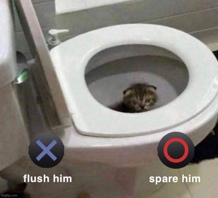 image tagged in memes | made w/ Imgflip meme maker
