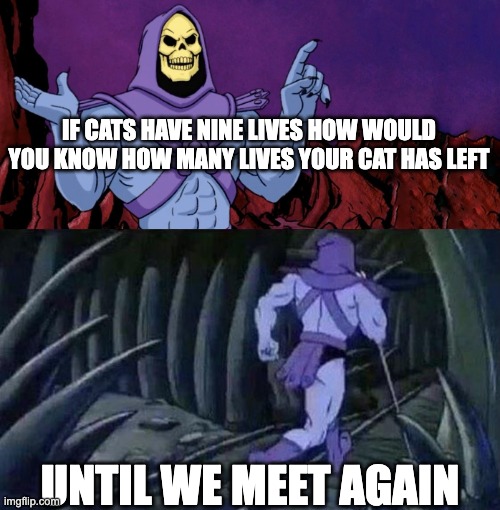 KITTY+K+A+T | IF CATS HAVE NINE LIVES HOW WOULD YOU KNOW HOW MANY LIVES YOUR CAT HAS LEFT; UNTIL WE MEET AGAIN | image tagged in he man skeleton advices | made w/ Imgflip meme maker