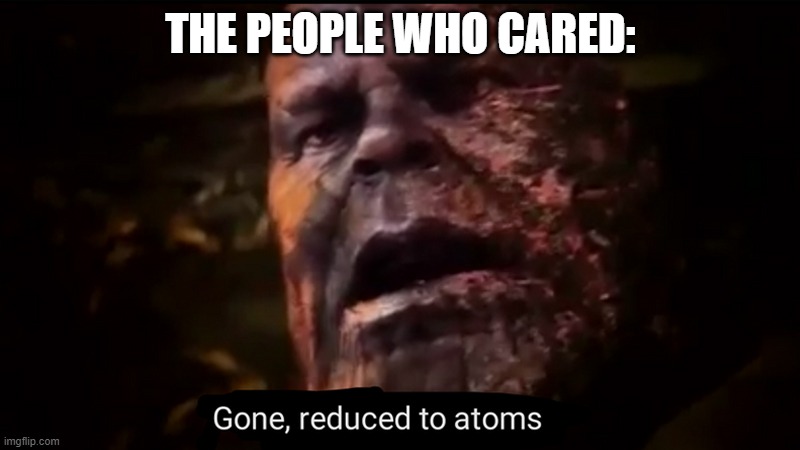 Thanos gone, reduced to atoms | THE PEOPLE WHO CARED: | image tagged in thanos gone reduced to atoms | made w/ Imgflip meme maker