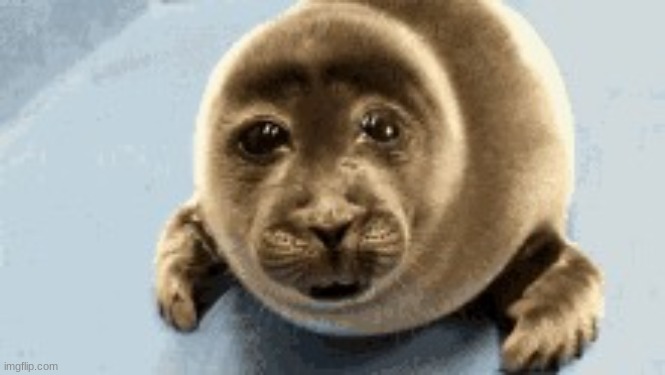 NOOOOO | image tagged in nooooo | made w/ Imgflip meme maker