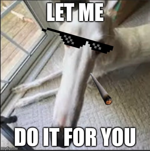 borzoi | LET ME; DO IT FOR YOU | image tagged in borzoi | made w/ Imgflip meme maker