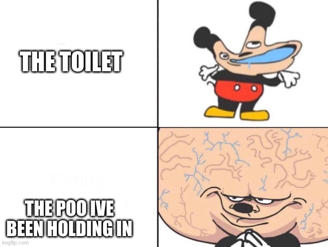toilet |  THE TOILET; THE POO IVE BEEN HOLDING IN | image tagged in big brain mokey | made w/ Imgflip meme maker