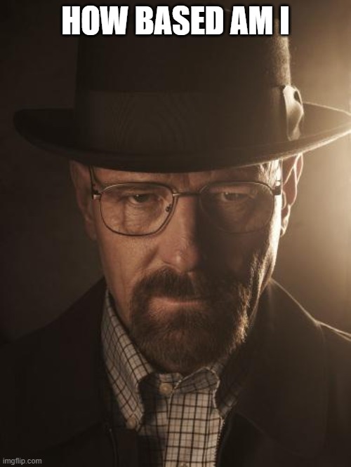 Walter White | HOW BASED AM I | image tagged in walter white | made w/ Imgflip meme maker