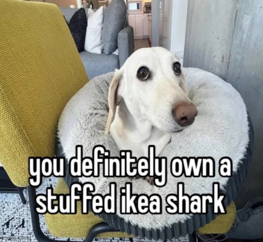 Homophobic dog | made w/ Imgflip meme maker