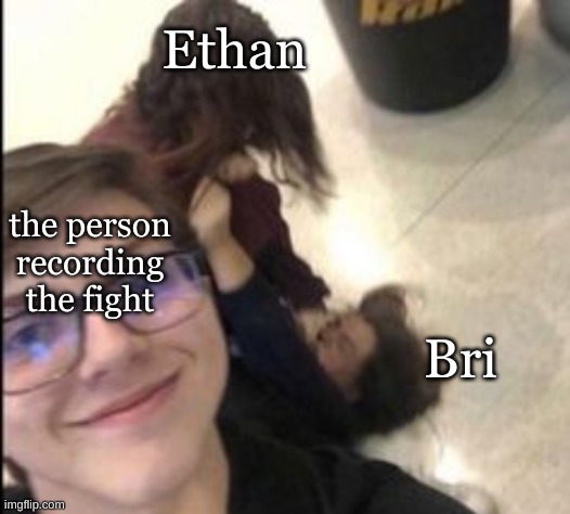 I mean she did touch his pp so like good on him | Ethan; the person recording the fight; Bri | image tagged in fight | made w/ Imgflip meme maker