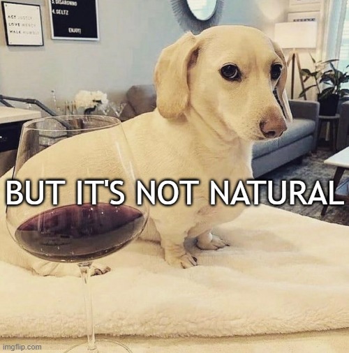 Homophobic Dog | BUT IT'S NOT NATURAL | image tagged in homophobic dog | made w/ Imgflip meme maker