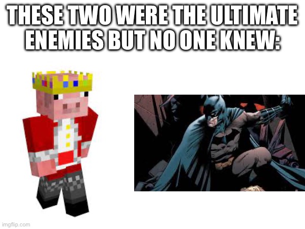 THESE TWO WERE THE ULTIMATE ENEMIES BUT NO ONE KNEW: | image tagged in batman,techno | made w/ Imgflip meme maker